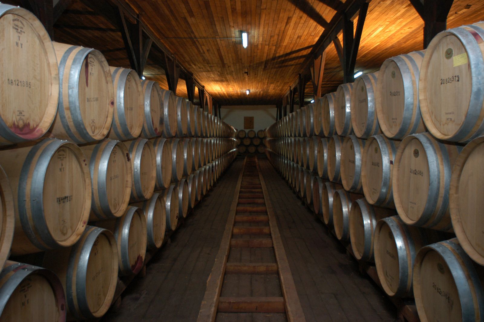 Hầm rượu nhà sản xuất Santa Rita